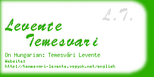 levente temesvari business card