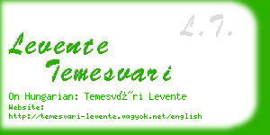 levente temesvari business card